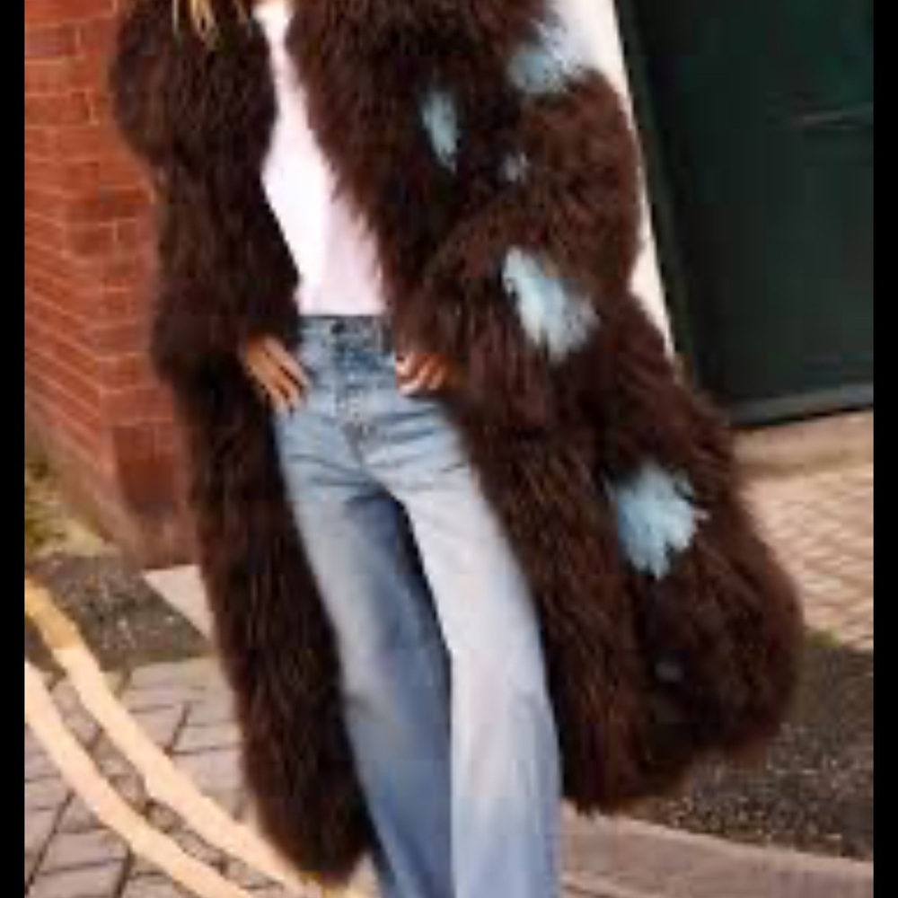 ISO Nasty Gal Brown and Blue Fur Coat